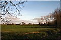 Fields near Cotton Hall