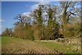 Footpath to Hempnalls Hall