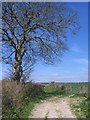 Looking towards Higher Burton