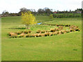 Sheep Pasture, Rother Levels