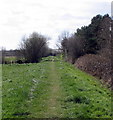 Old railway track-bed near Bridport