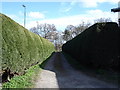 Footpath to church