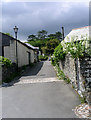 A back lane in Charlestown.