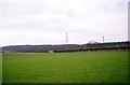 Looking toward Knowsley Park