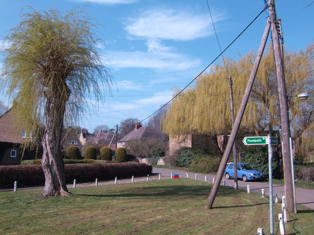 Willows in Boughton village