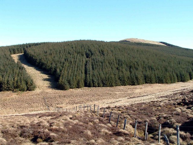 Forestry on Black Law
