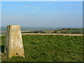 SU2382 : Triangulation pillar, Charlbury Hill, Wiltshire, a view to the south east by Brian Robert Marshall