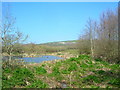 Trevathan wetlands