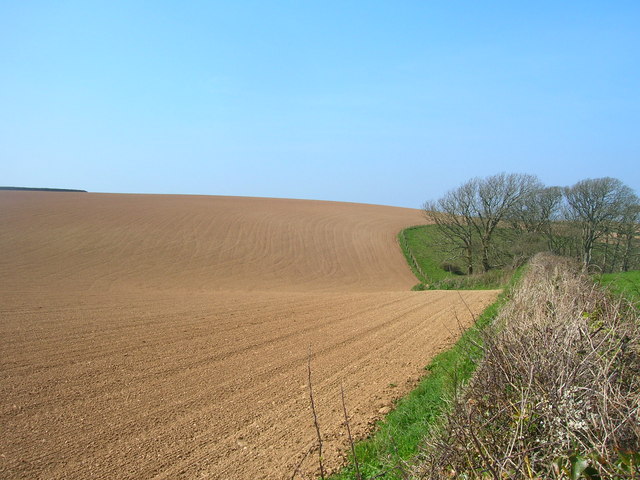 Field below Roscarrock