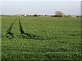 Farmland near Balderton level crossing