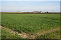 Claypole Fen, Lincolnshire