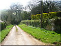 Looking down the road from Trevinnick