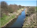 River Skerne