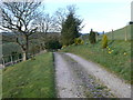 Farm road to Fron Farm.