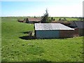 Bungalow and sheds at Woodham