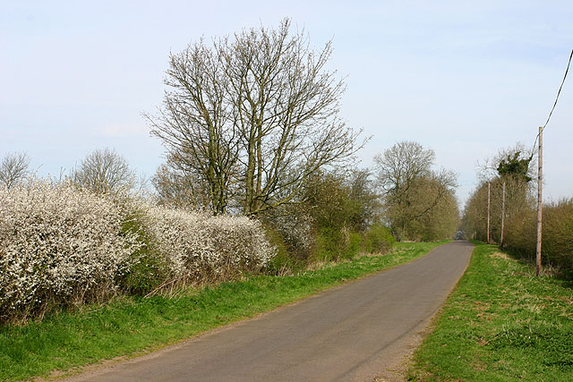 Road between Enstone and Little Tew