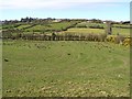 Magheranageeragh Townland