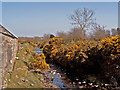 The Lagan at Finnis - downstream