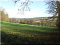 Looking across Netherton Valley towards Faccombe