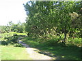 Rockford Common path to Waterslade