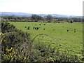 Garvagh Townland