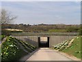 Tunnel under the A264 at Holmbush Farm