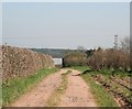 Track leading to barns