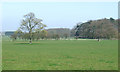 Grazing Land, Hilton Park, Staffordshire