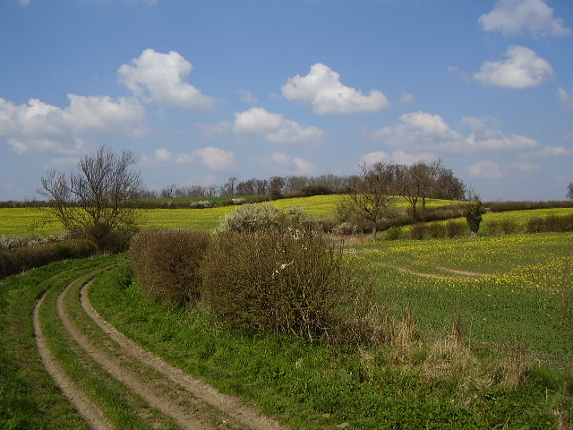 Towards Loveden Hill from the green lane © Ken Brockway cc-by-sa/2.0 ...