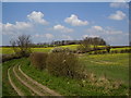 Towards Loveden Hill from the green lane