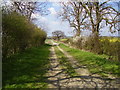 Byway from Loveden Hill