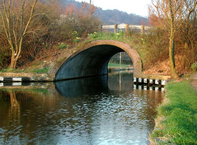 Moderna Way Bridge