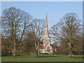 SU8477 : Shottesbrooke Park and the church by Andrew Smith