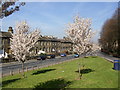 Junction of Taylor Hill Road and Woodhead Road, Salford, Almondbury