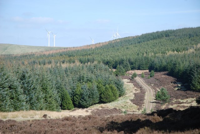 Track through forest below Dun Law Wind Farm
