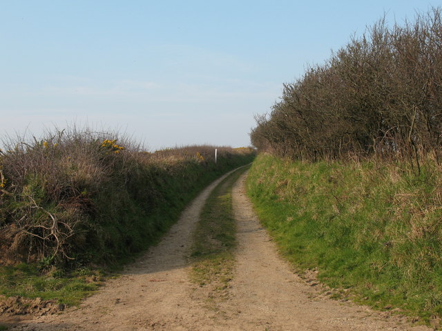 Lane near Tancredston