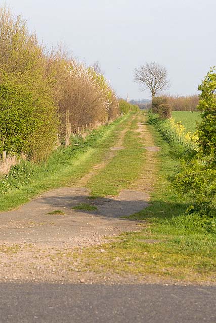 Lane to Engineer's Wood and Holywell Spinney