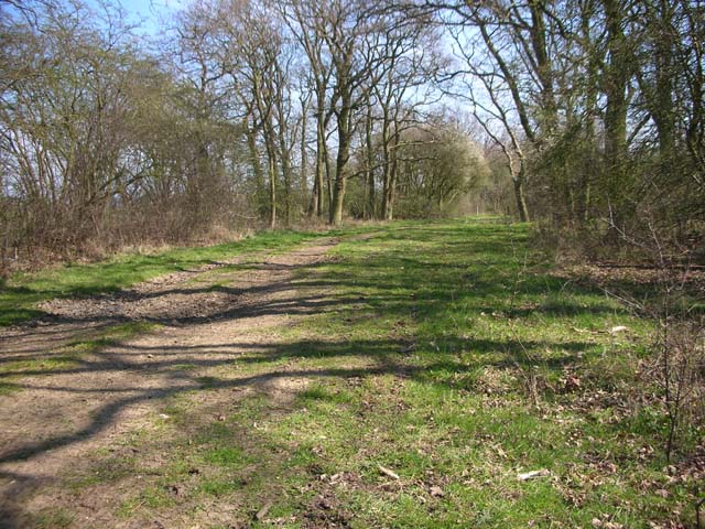 Yelnow Lane near Odel Great Wood © Will Lovell :: Geograph Britain and ...