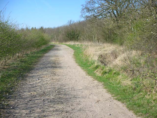 Bridleway and Barwick Wood