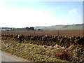 Field at East Inch Farm