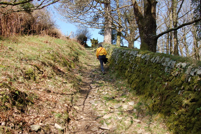 Steep path up from Ley Combe