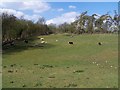 Pasture Near Upper Farmcote