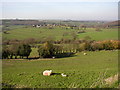 View from Acre Lane with sheep and lambs (2), Fulstone