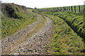 Knowstone: old track from East and West Kidland