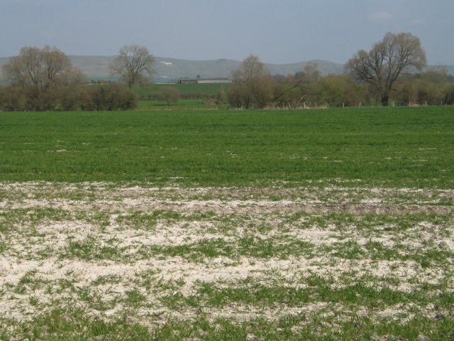 View across fields towards Alton Barnes white horse