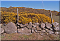 Granite boulder wall