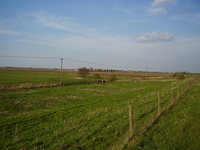 North Fen from the flood bank