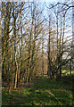 Line of disused railway, near Hall Lane bridge