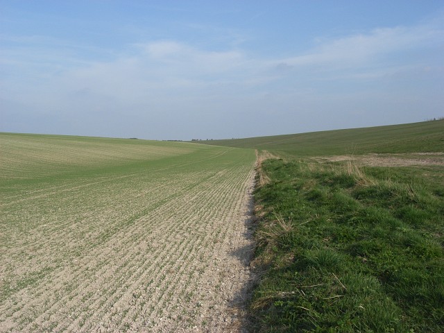 Above Coombe Lane In a dry valley where arable land meets grassland.