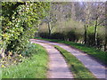 Lane leading to Woodland Walk at Cosford Grange